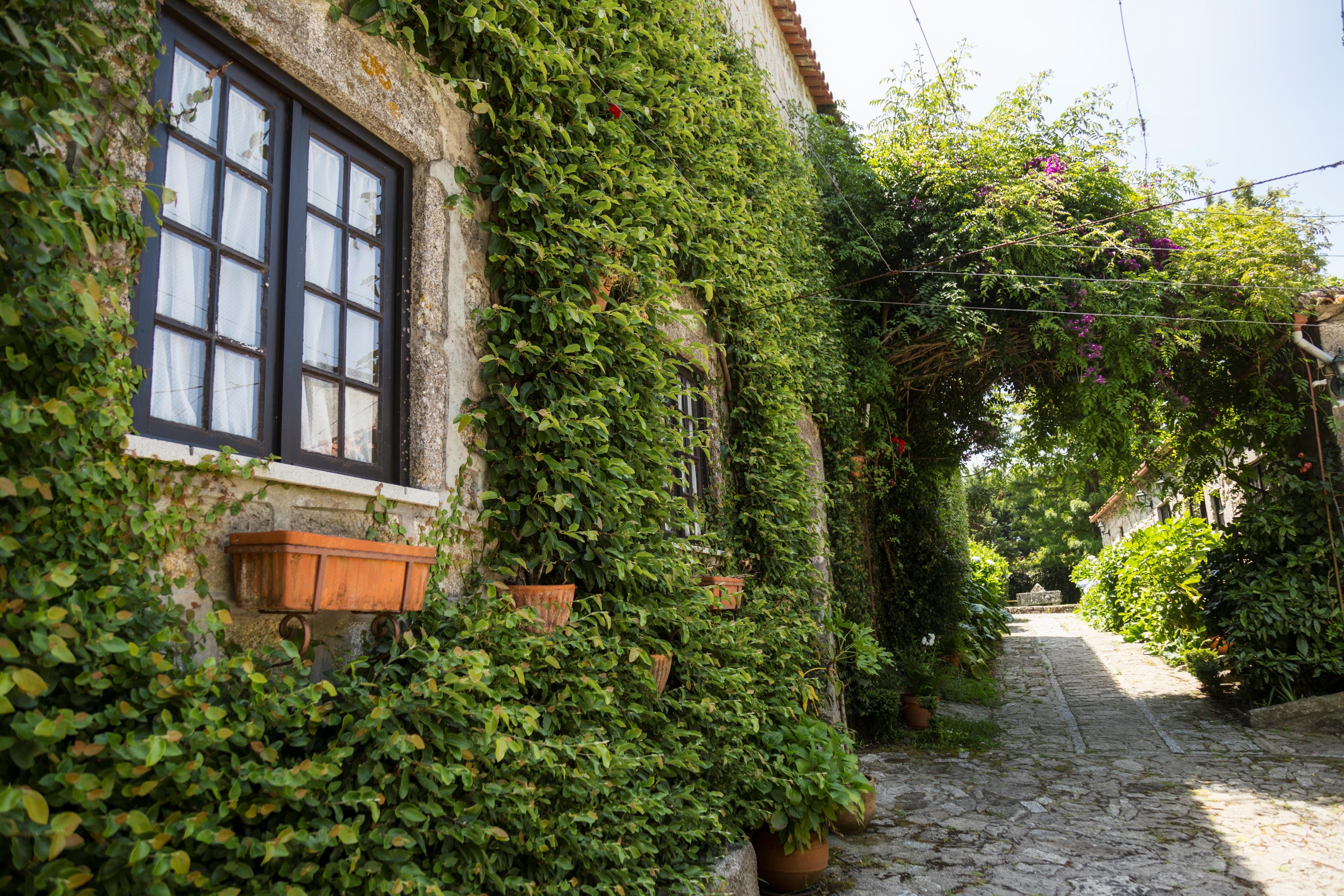 Casa Do Ameal Bed & Breakfast Viana do Castelo Exterior photo