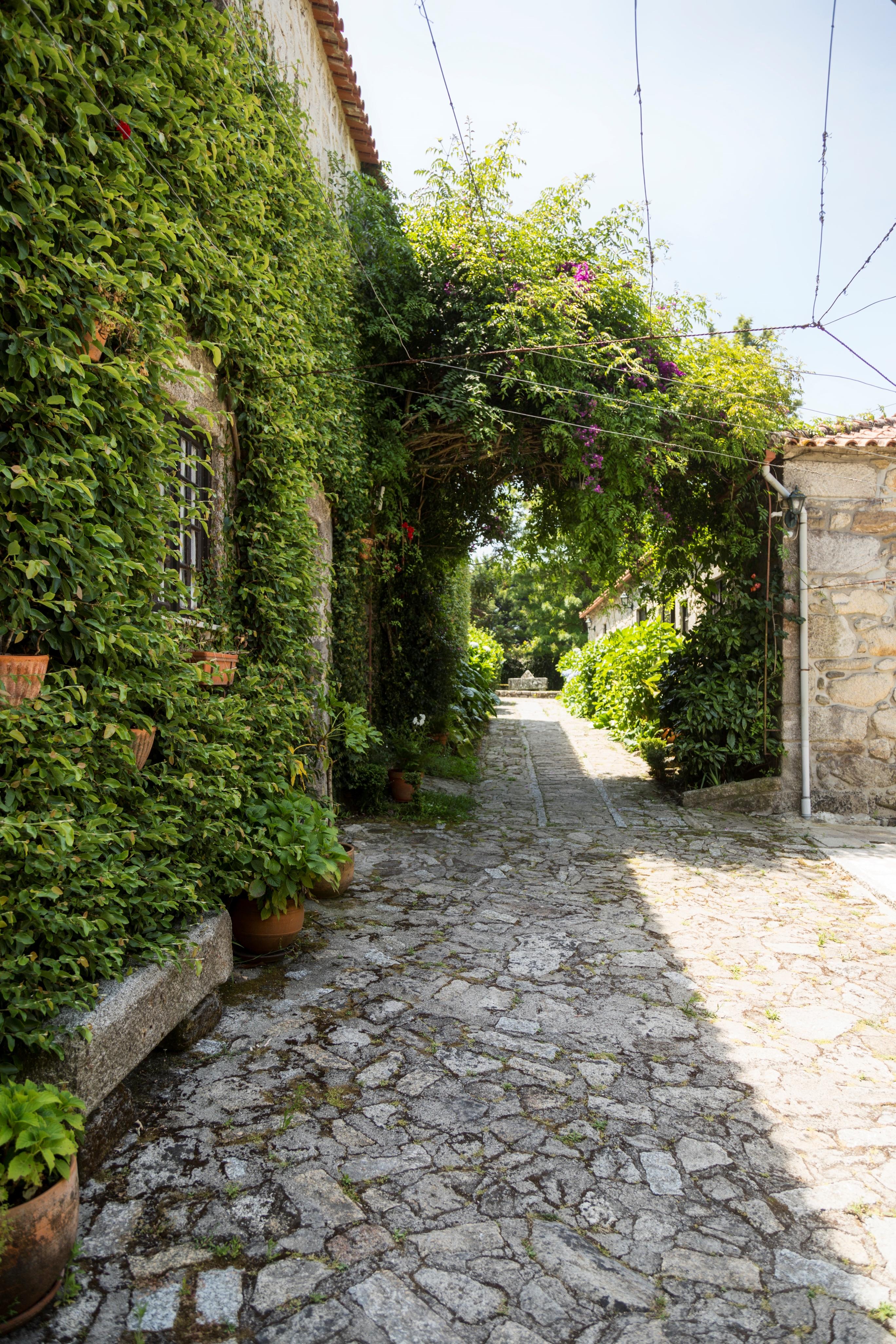 Casa Do Ameal Bed & Breakfast Viana do Castelo Exterior photo